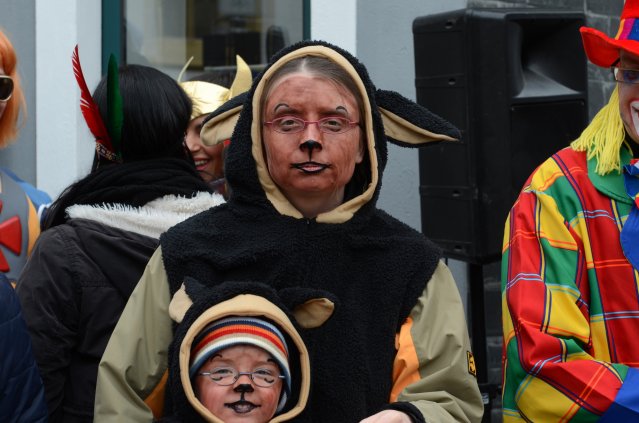 umzug simmern_140301_vb_074